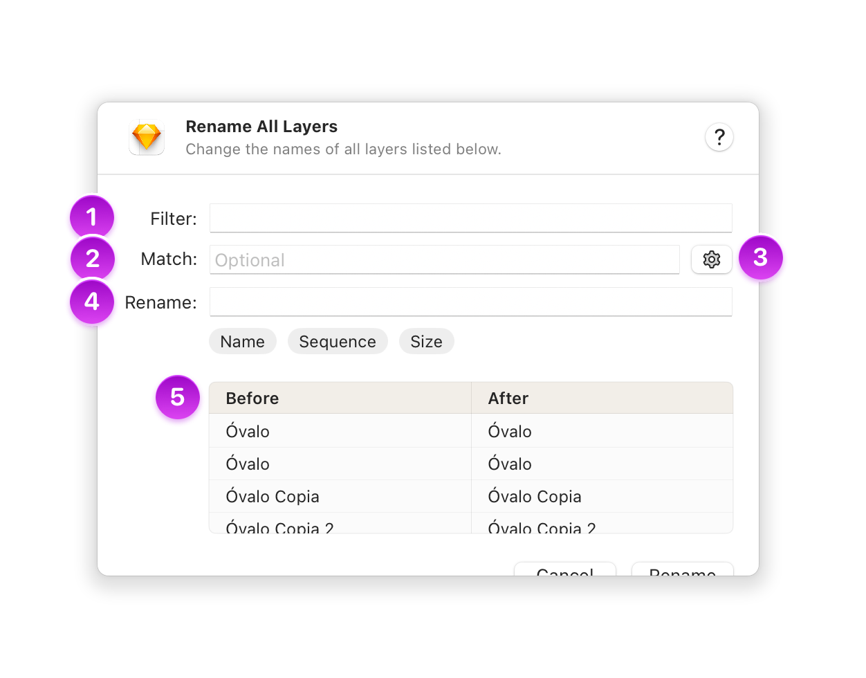 An annotated screenshot showing the different options in the rename all layers dialog
